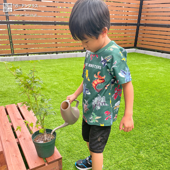 記念樹植樹の様子