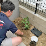 記念樹植樹の様子