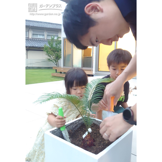 記念樹植樹の様子