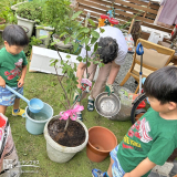 記念樹植樹の様子①