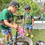 記念樹植樹の様子②