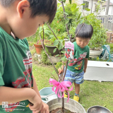 記念樹植樹の様子③