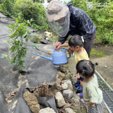 記念樹植樹の様子