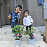 長野県塩尻市ジューンベリーと西洋シャクナゲの植樹風景