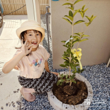 記念樹植樹の様子①