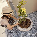 記念樹植樹の様子③