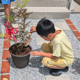 記念樹植樹の様子②