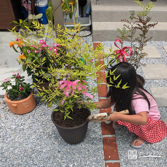記念樹植樹の様子③