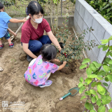 記念樹植樹の様子①