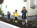 神奈川県鎌倉市ユスラウメとアルプス乙女の植樹風景