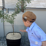 記念樹植樹の様子②