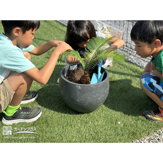 記念樹植樹の様子②