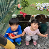 記念樹植樹の様子