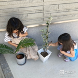 記念樹植樹の様子②