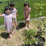 お子様たちと記念樹②
