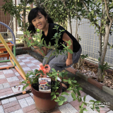 記念樹植樹の様子