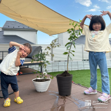 記念樹植樹の様子