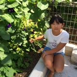 長野県松本市ジューンベリーとビワの植樹風景