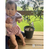 植樹したキンカンと記念撮影①