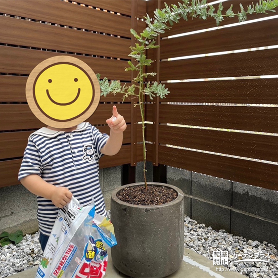 ミモザ植樹の様子①