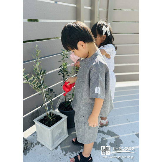 オリーブ植樹の様子②