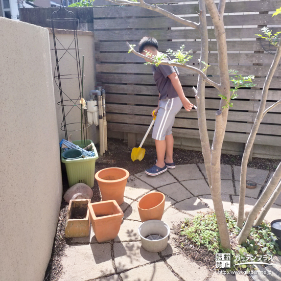 記念樹植樹の様子④