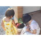 記念樹のソテツとのお写真