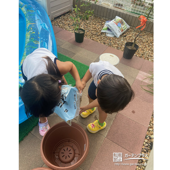 記念樹植樹の準備