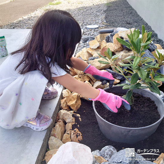 記念樹植樹の様子