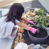 記念樹植樹の様子