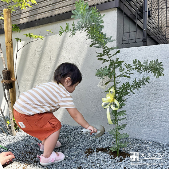 記念樹植樹の様子