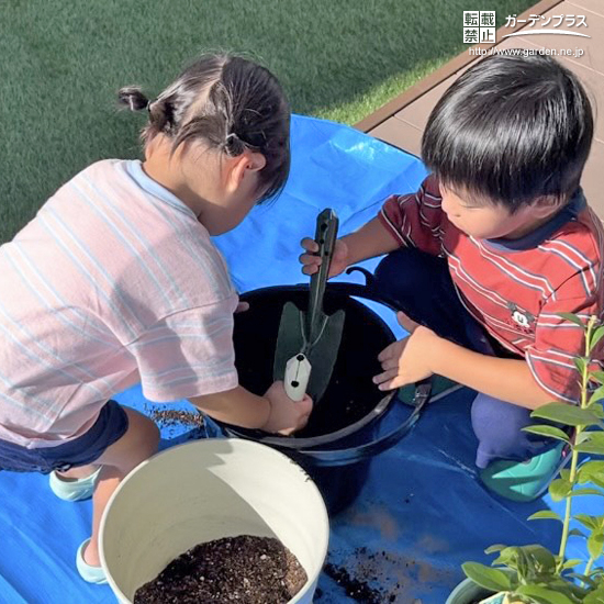 記念樹植樹の様子