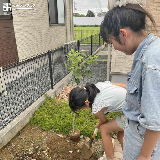 記念樹植樹の様子