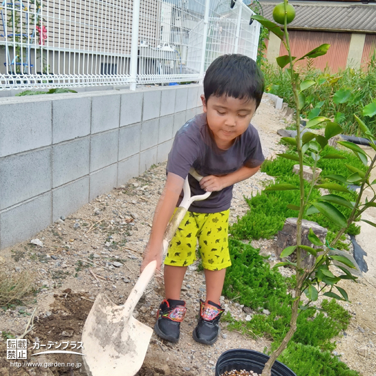 記念樹植樹の様子②