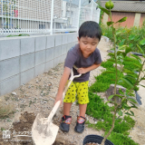 記念樹植樹の様子②