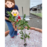 温州ミカンと記念撮影②