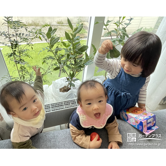 3本の記念樹と記念撮影②