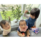 3本の記念樹と記念撮影②