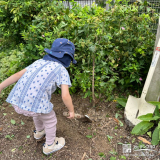 記念樹ライラック植樹の様子
