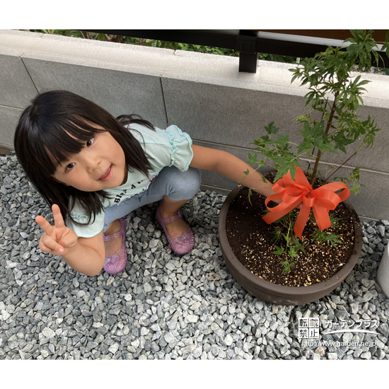 もみじ（カエデ）と記念撮影