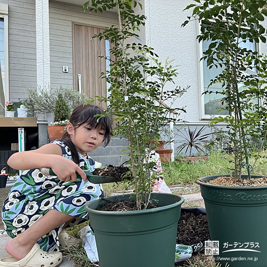 記念樹植樹の様子