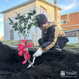 記念樹のブルーベリー植樹の様子