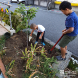 記念樹温州ミカンの植樹の様子①