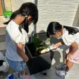 記念樹ソテツの植樹の様子