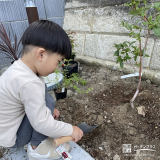 記念樹ブルーベリーの植樹の様子