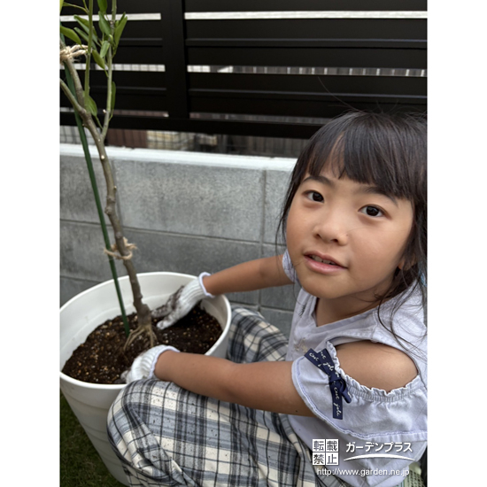 記念樹植樹の様子①
