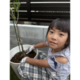 記念樹植樹の様子①