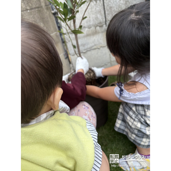記念樹植樹の様子③