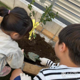 記念樹のブルーベリー植樹の様子