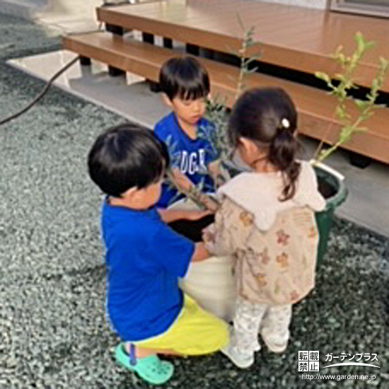 記念樹植樹の様子